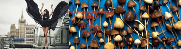 амф Балахна