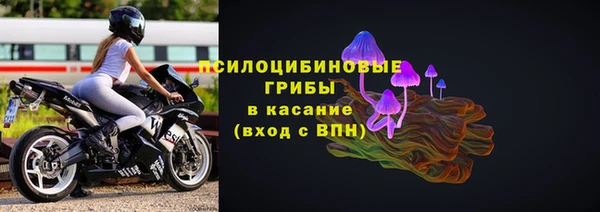 амф Балахна