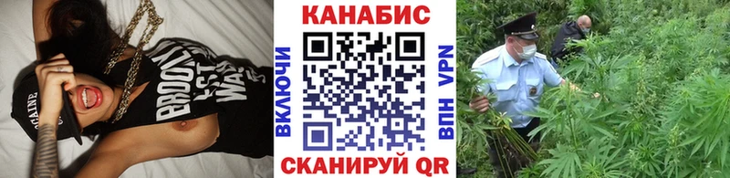 Бошки Шишки ГИДРОПОН omg ТОР Белёв